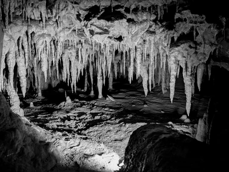 Florida Caverns State Park