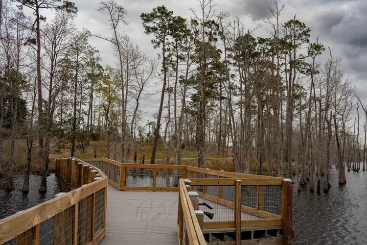 Sam Houston Jones State Park